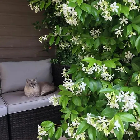 Les D'alienor, Jasmin